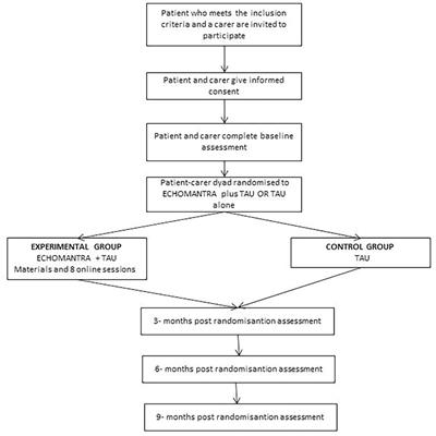 Adaptation and Implementation of an Intervention Programme on Spanish Carers and Adolescent Patients With an Eating Disorder: Study Protocol of a Randomized Controlled Trial